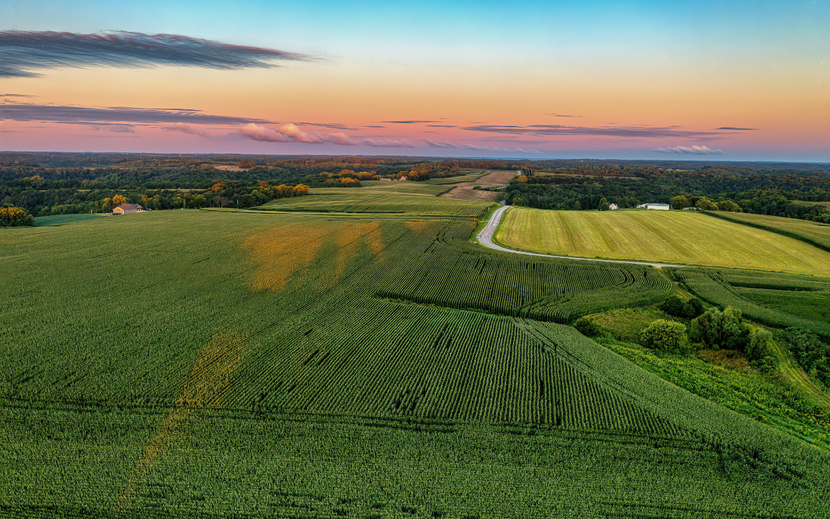 Timber, Water, and Wildlife: What Adds Value to Hunting Land in Mount Ayr, Iowa
